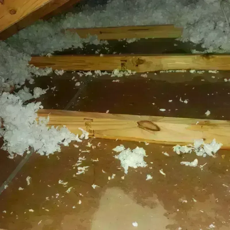 Attic Water Damage in Spencerville, NM